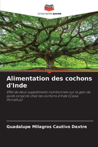 Alimentation des cochons d'Inde