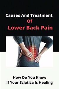 Causes And Treatment Of Lower Back Pain