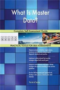 What Is Master Data? Complete Self-Assessment Guide