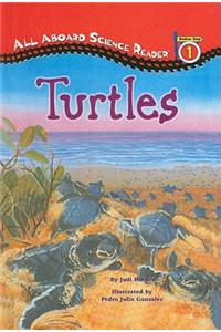 Turtles