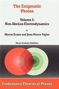 The Enigmatic Photon: Volume 2: Non-Abelian Electrodynamics