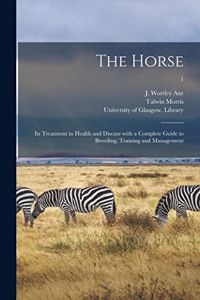 The Horse