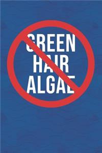 Green Hair Algae
