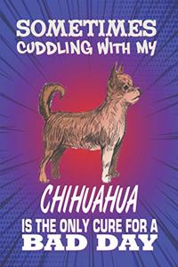 Sometimes Cuddling With My Chihuahua Is The Only Cure For A Bad Day