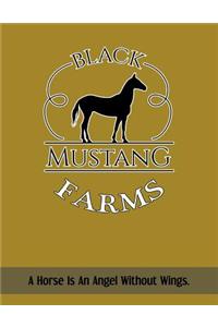 Black Mustang Farms