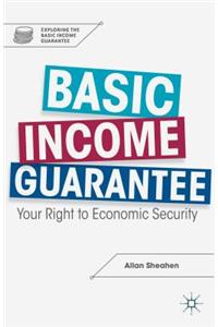 Basic Income Guarantee