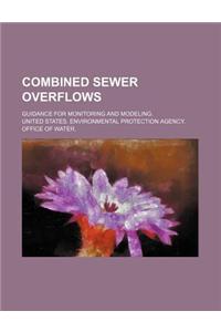 Quibus Ex Fontibus S. Aurelii Victoris Et Libri de Caesaribus Et Epitomes Undecim Capita Priora Fluxerint