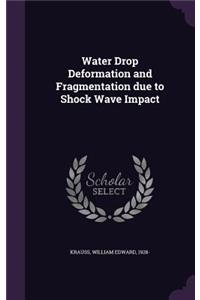 Water Drop Deformation and Fragmentation due to Shock Wave Impact