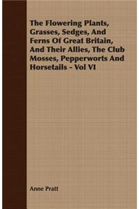 The Flowering Plants, Grasses, Sedges, And Ferns Of Great Britain, And Their Allies, The Club Mosses, Pepperworts And Horsetails - Vol VI