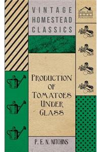 Production of Tomatoes Under Glass