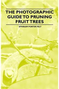 Photographic Guide to Pruning Fruit Trees