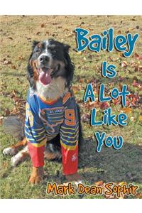 Bailey Is a Lot Like You
