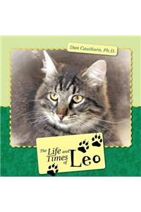 The Life and Times of Leo