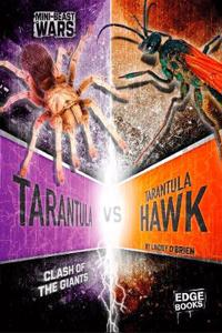 Tarantula vs Tarantula Hawk