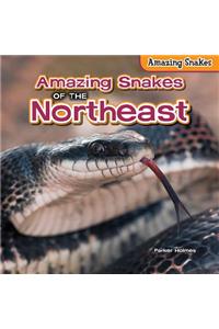 Amazing Snakes of the Northeast