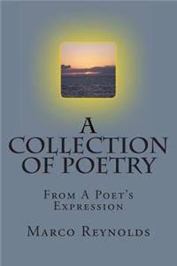 A Collection of Poetry