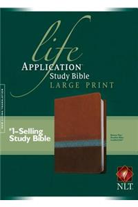 Life Application Study Bible NLT, Large Print