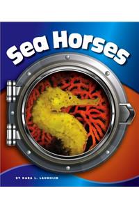 Sea Horses