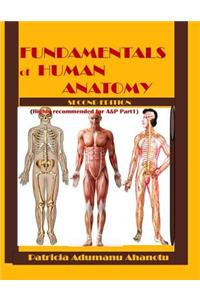 Fundamentals of Human Anatomy 2nd Edition