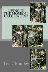 Living in the Moment Calibration