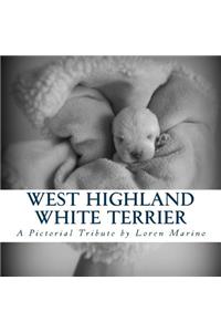 West Highland White Terrier