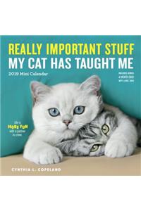 2019 Really Important Stuff My Cat Has Taught Me Mini Wall Calendar