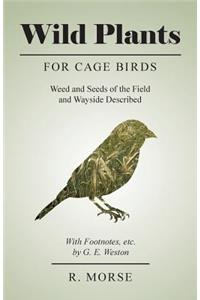 Wild Plants for Cage Birds - Weed and Seeds of the Field and Wayside Described - With Footnotes, etc., by G. E. Weston