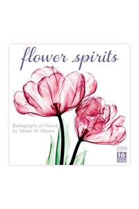 2019 Flower Spirits Radiographs of Nature by Steven N. Meyers 16-Month Wall Calendar: By Sellers Publishing