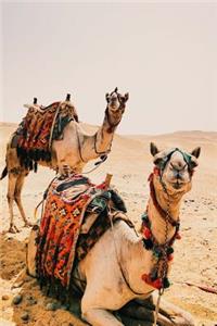 Camels in the Sand Animal Journal