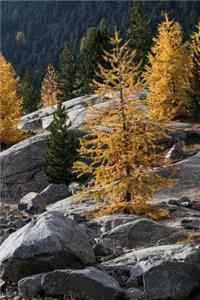 Autumn in the Alps