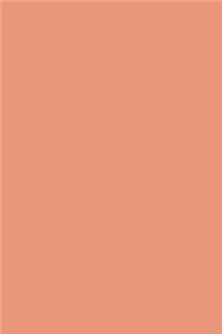 Journal Dark Salmon Color Simple Plain Salmon