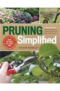 Pruning Simplified