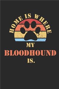 Bloodhound