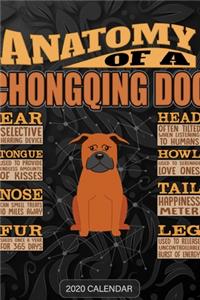 Anatomy Of A Chongqing Dog