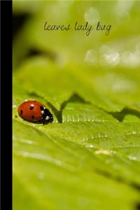Leaves Lady Bug