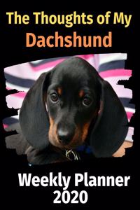 The Thoughts of My Dachshund