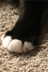 Cat Toes