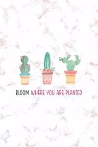 Bloom Where You Are Planted