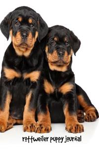 Rottweiler Puppy Journal