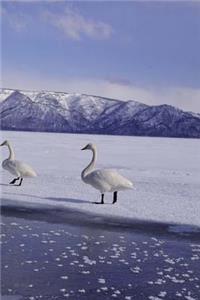 2019 Weekly Planner Winter Theme Frozen Geese 134 Pages