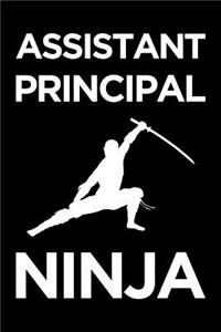 Assistant Principal Notebook