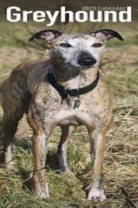 Greyhound Slim Calendar 2020