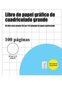 Libro de papel gráfico de cuadriculado grande