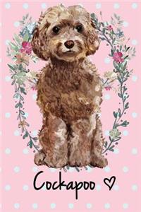 Cockapoo