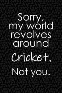 Sorry, My World Revolves Around Cricket. Not You.