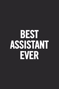 Best Assistant Ever
