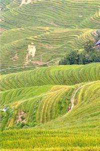 Terraced Rice Fields in Thailand Journal
