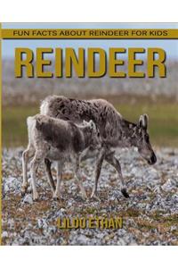 Fun Facts About Reindeer For Kids