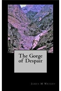 Gorge of Despair