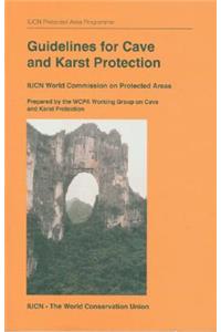 Guidelines for Cave and Karst Protection